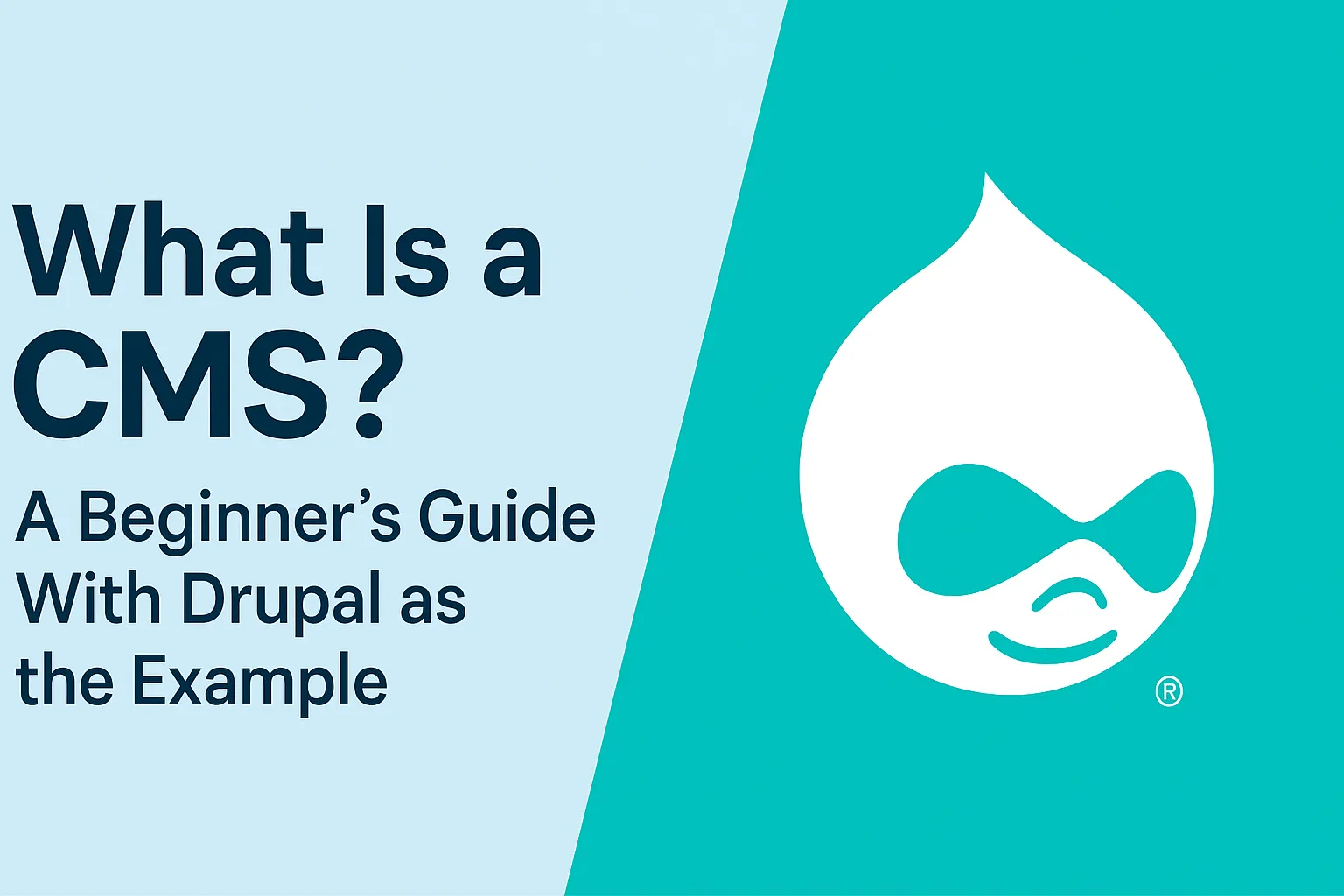 What Is a CMS? A Beginner’s Guide With Drupal as the Example