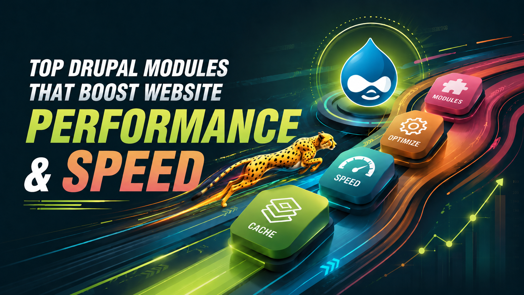 Top Drupal Modules That Boost Website Performance & Speed