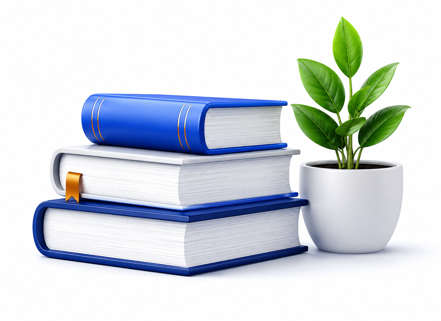 book.webp