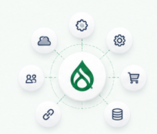 Seamless integrations with third-party systems, CRMs, ERPs, payment gateways, and more.